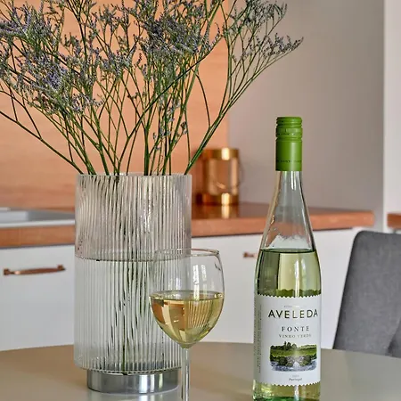 公寓 Wintera & Parking By Downtown 格但斯克